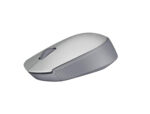 Mouse Logitech M170