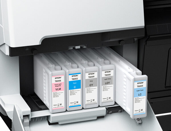 Tinta Epson T800000 Light Gray (700ML)